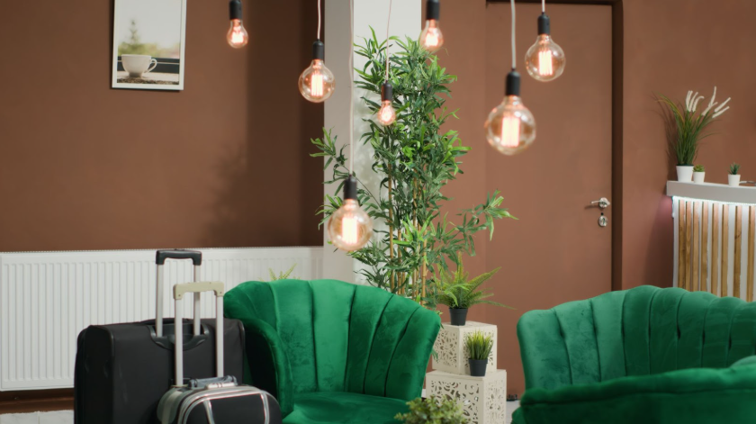 large houseplants